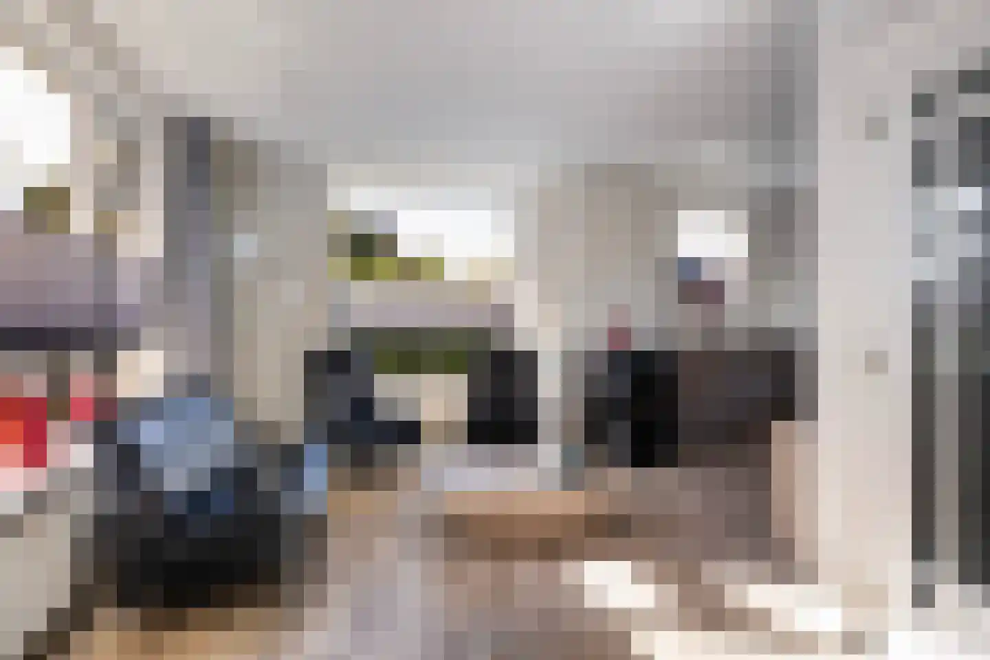 Aengwirderweg 292 Tjalleberd thumbnail 4