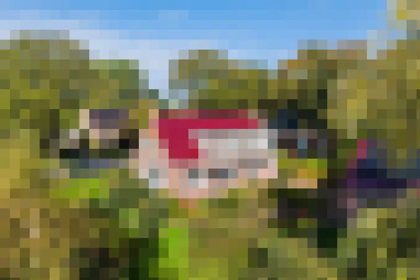 Aengwirderweg 292 Tjalleberd thumbnail 40