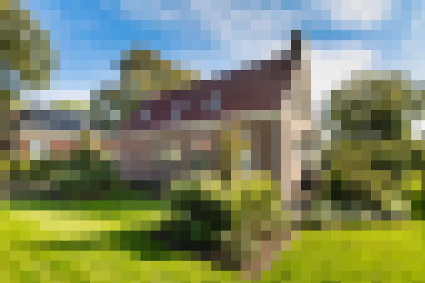 Aengwirderweg 292 Tjalleberd thumbnail 41