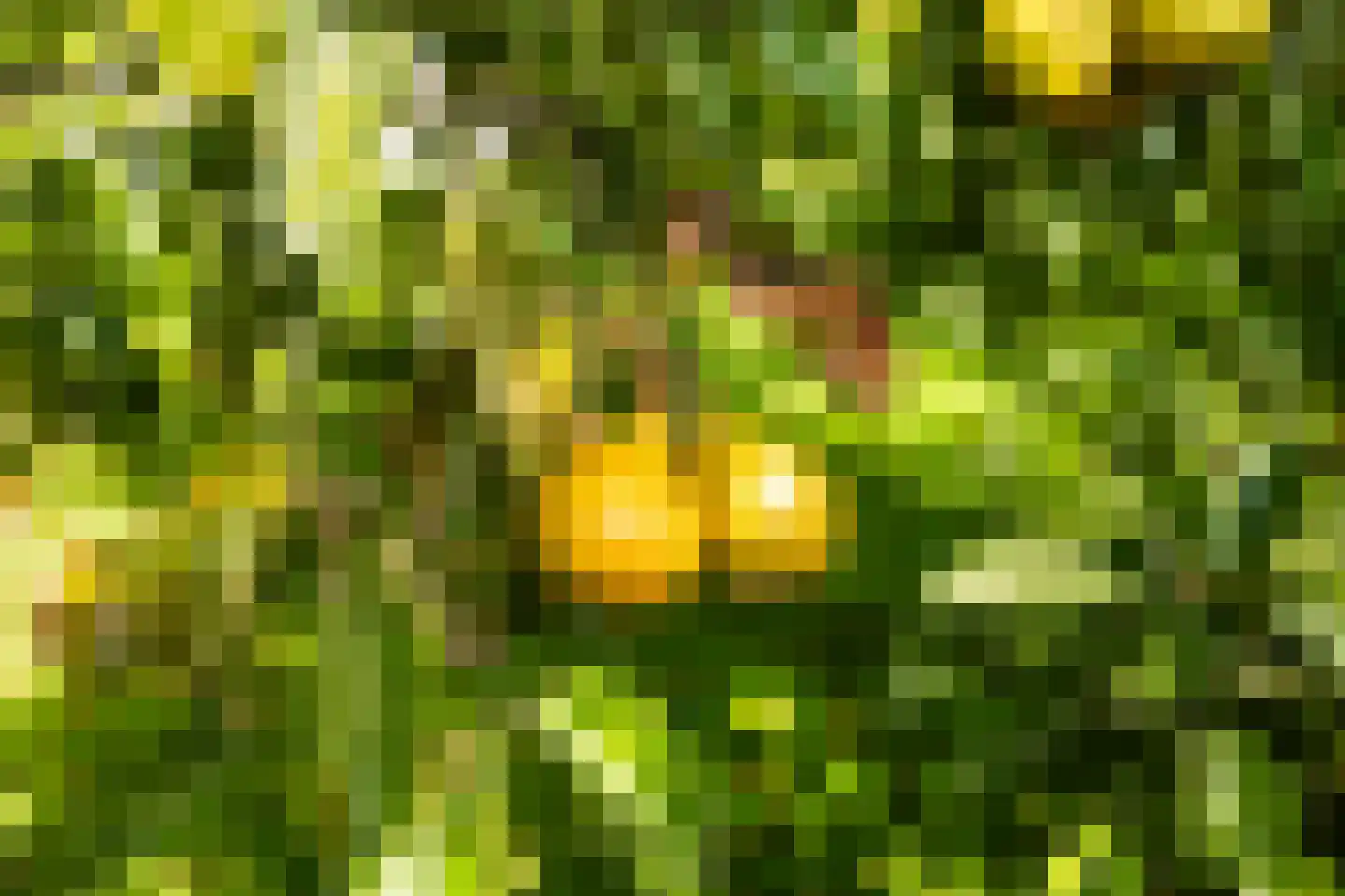 Aengwirderweg 292 Tjalleberd thumbnail 43