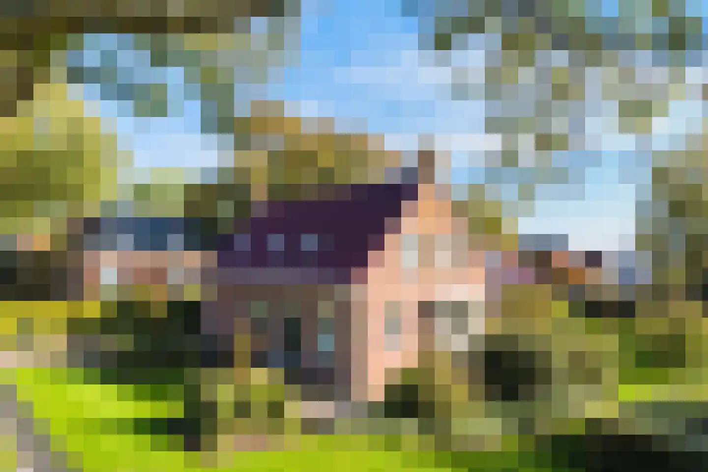 Aengwirderweg 292 Tjalleberd thumbnail 44