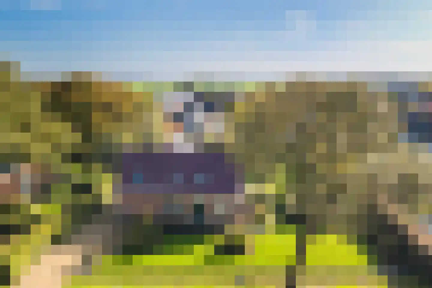 Aengwirderweg 292 Tjalleberd thumbnail 45