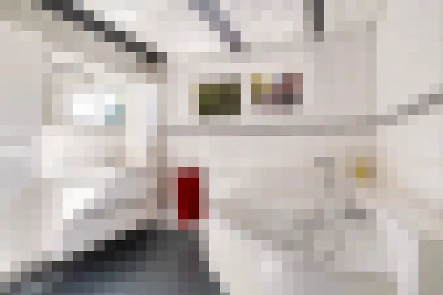Aengwirderweg 292 Tjalleberd thumbnail 6