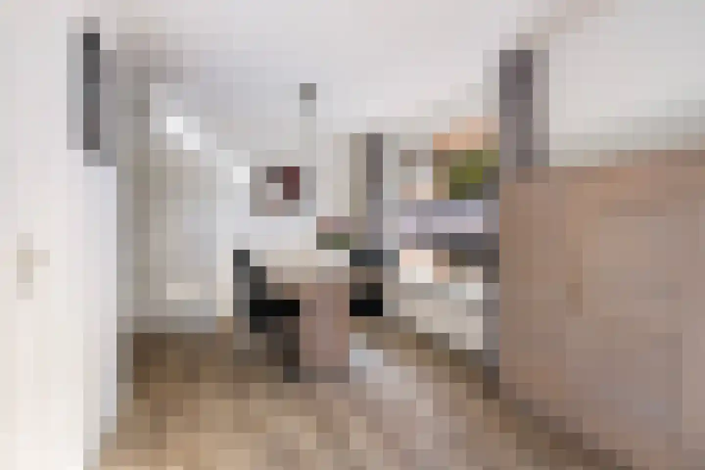 Aengwirderweg 292 Tjalleberd thumbnail 9
