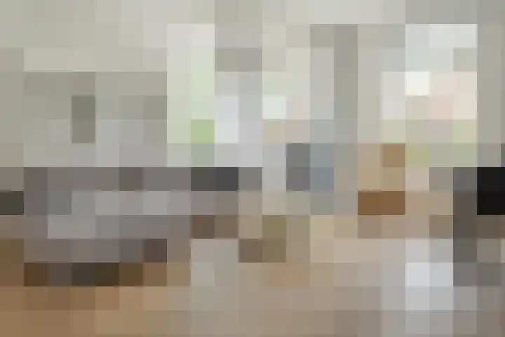 Aengwirderweg 297 Tjalleberd thumbnail 16