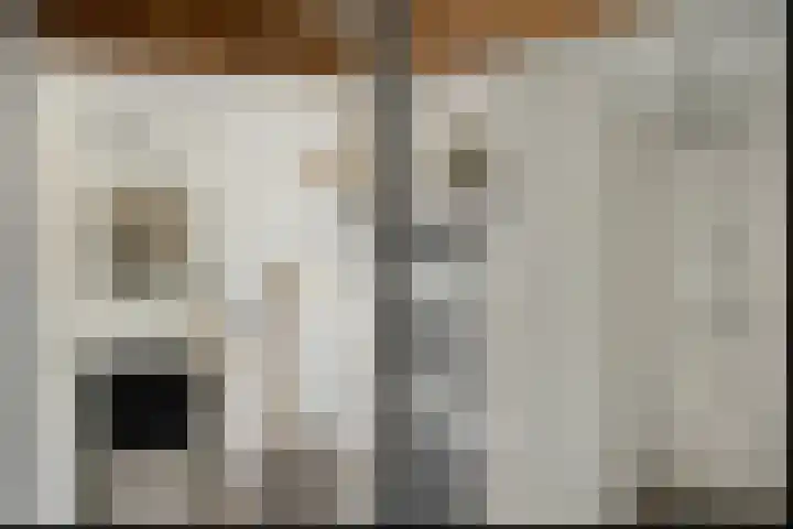 Aengwirderweg 297 Tjalleberd thumbnail 25