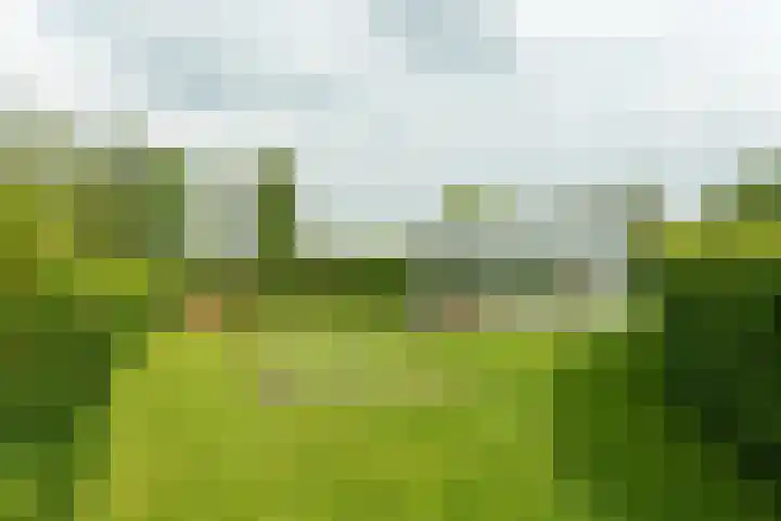 Aengwirderweg 297 Tjalleberd thumbnail 35