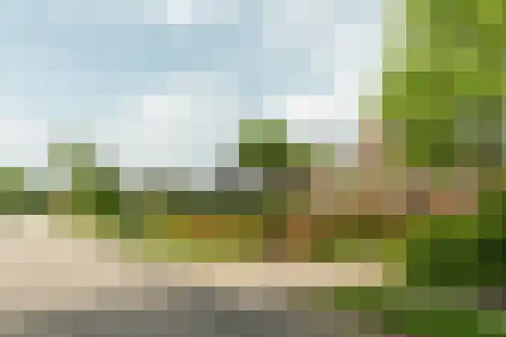 Aengwirderweg 297 Tjalleberd thumbnail 37
