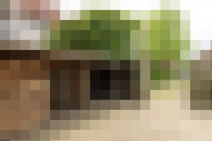 Aengwirderweg 297 Tjalleberd thumbnail 38