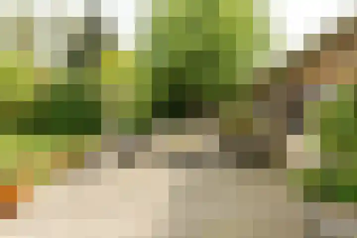Aengwirderweg 297 Tjalleberd thumbnail 39