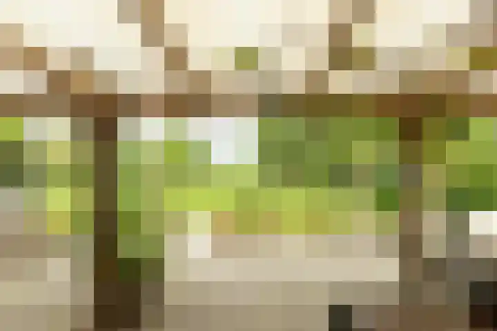 Aengwirderweg 297 Tjalleberd thumbnail 4
