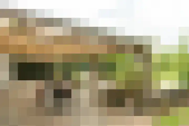 Aengwirderweg 297 Tjalleberd thumbnail 40