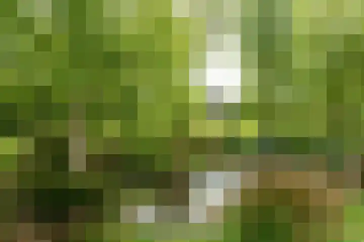 Aengwirderweg 297 Tjalleberd thumbnail 41
