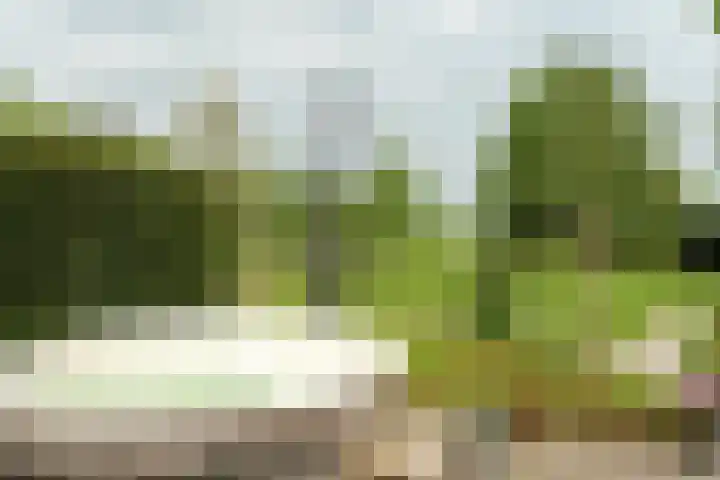 Aengwirderweg 297 Tjalleberd thumbnail 42