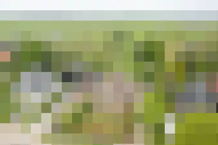 Aengwirderweg 297 Tjalleberd thumbnail 43