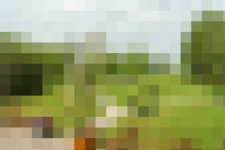 Aengwirderweg 297 Tjalleberd thumbnail 44