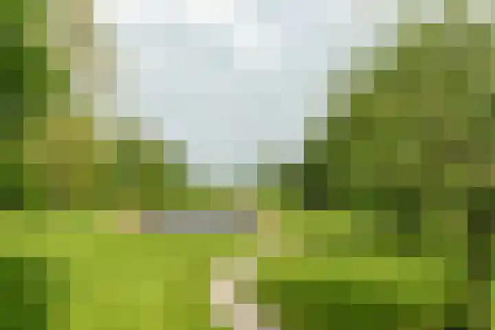 Aengwirderweg 297 Tjalleberd thumbnail 45