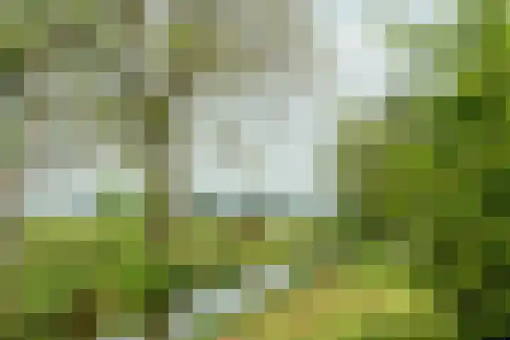Aengwirderweg 297 Tjalleberd thumbnail 46