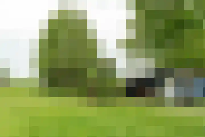 Aengwirderweg 297 Tjalleberd thumbnail 47