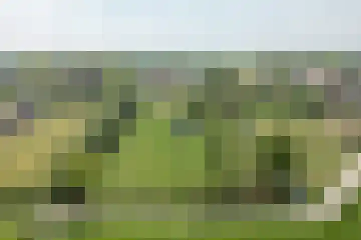 Aengwirderweg 297 Tjalleberd thumbnail 48