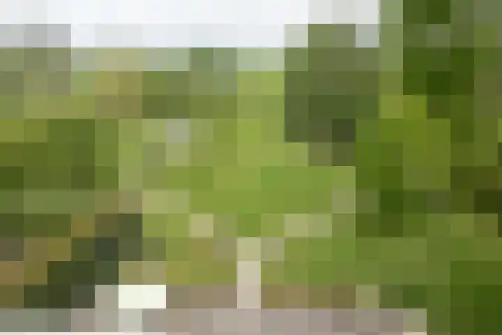 Aengwirderweg 297 Tjalleberd thumbnail 5
