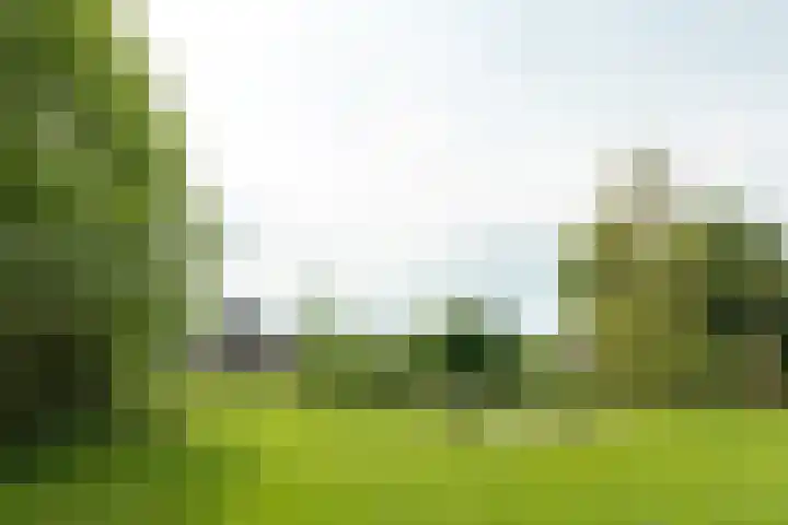 Aengwirderweg 297 Tjalleberd thumbnail 6