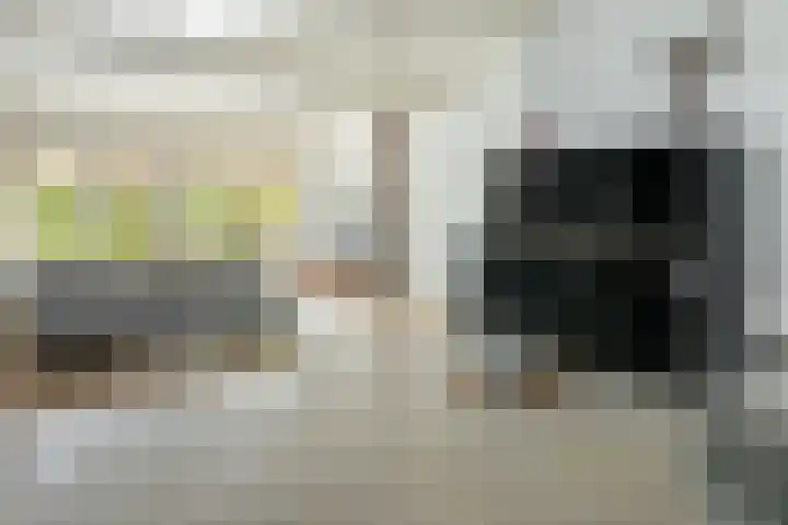 Aengwirderweg 297 Tjalleberd thumbnail 9