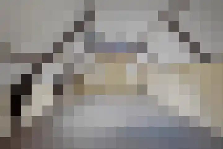 Aengwirderweg 349 Tjalleberd thumbnail 34