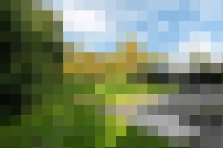 Aengwirderweg 349 Tjalleberd thumbnail 37