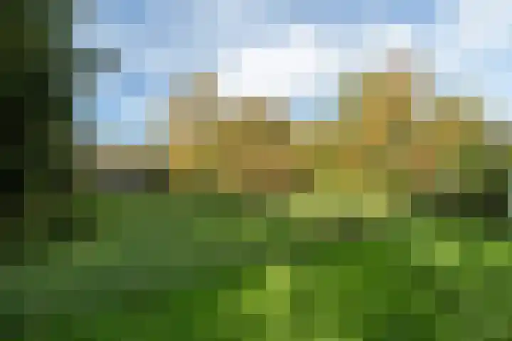 Aengwirderweg 349 Tjalleberd thumbnail 38