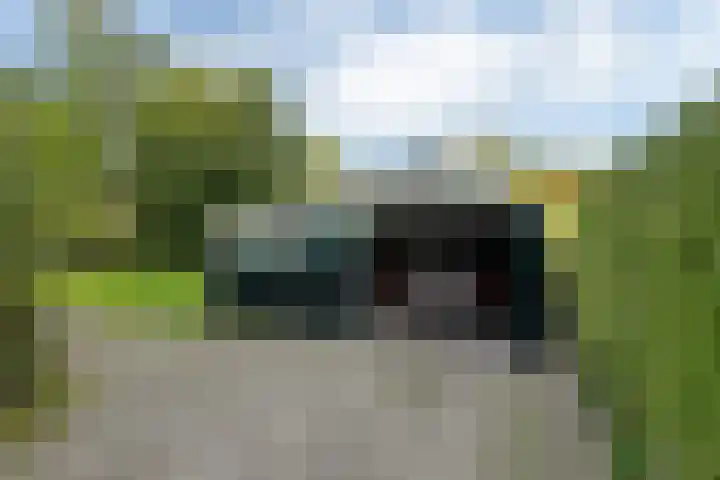 Aengwirderweg 349 Tjalleberd thumbnail 39