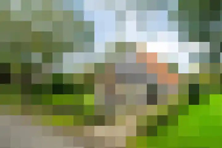 Aengwirderweg 349 Tjalleberd thumbnail 4