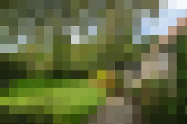 Aengwirderweg 349 Tjalleberd thumbnail 40