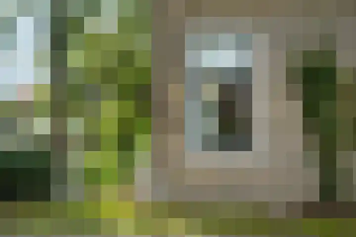 Aengwirderweg 349 Tjalleberd thumbnail 41