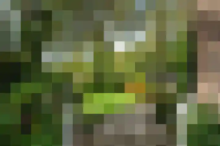 Aengwirderweg 349 Tjalleberd thumbnail 42