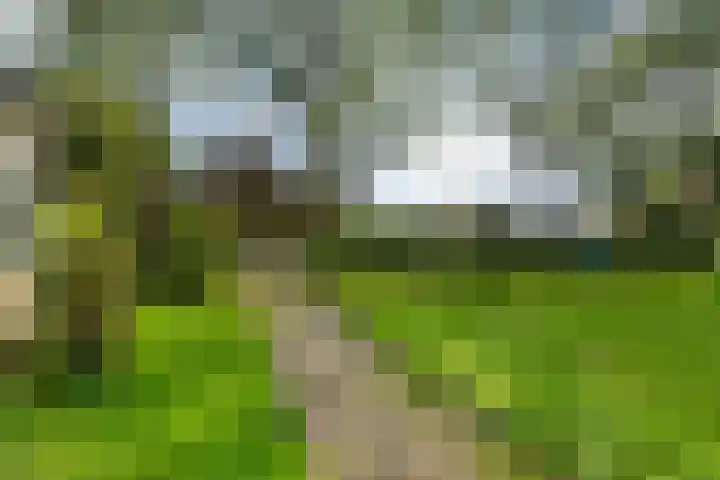 Aengwirderweg 349 Tjalleberd thumbnail 43