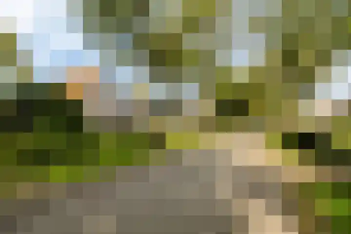 Aengwirderweg 349 Tjalleberd thumbnail 44