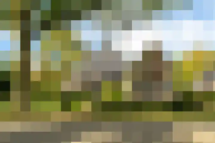 Aengwirderweg 349 Tjalleberd thumbnail 45