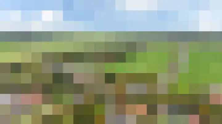 Aengwirderweg 349 Tjalleberd thumbnail 47