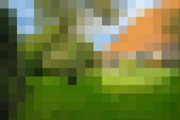 Aengwirderweg 349 Tjalleberd thumbnail 5