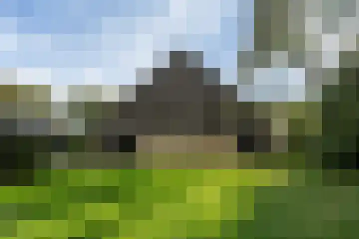 Aengwirderweg 349 Tjalleberd thumbnail 7