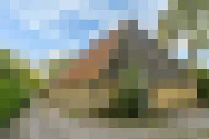 Aengwirderweg 349 Tjalleberd thumbnail 8