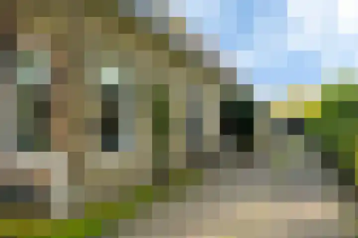 Aengwirderweg 349 Tjalleberd thumbnail 9