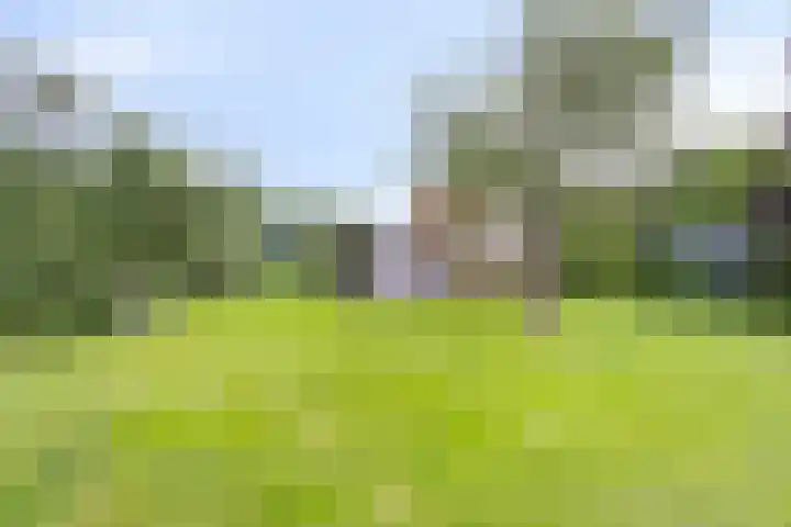 Aengwirderweg 389 Tjalleberd thumbnail 24