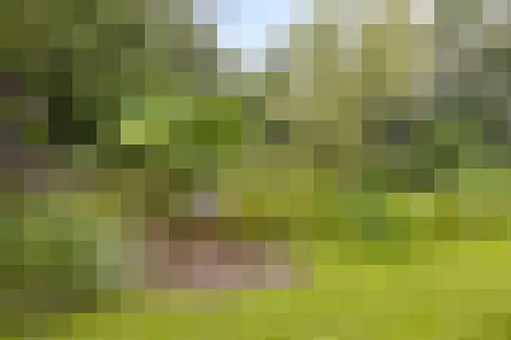 Aengwirderweg 389 Tjalleberd thumbnail 27