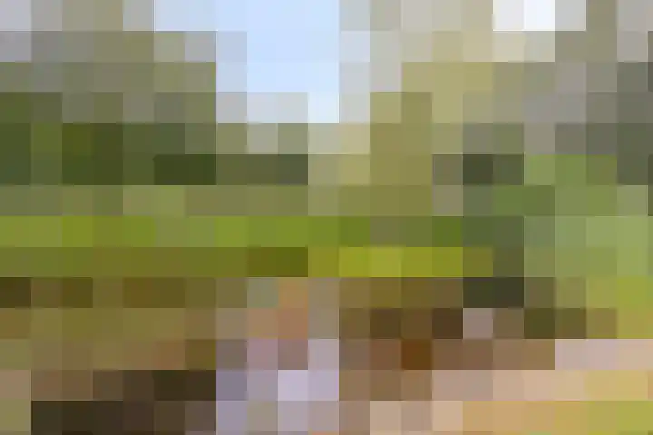 Aengwirderweg 389 Tjalleberd thumbnail 28