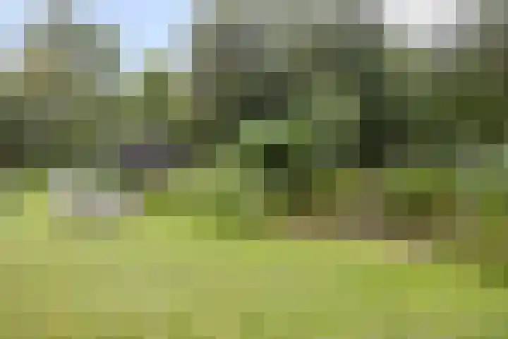Aengwirderweg 389 Tjalleberd thumbnail 29
