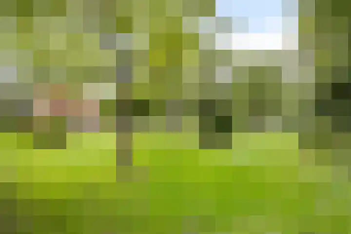 Aengwirderweg 389 Tjalleberd thumbnail 30
