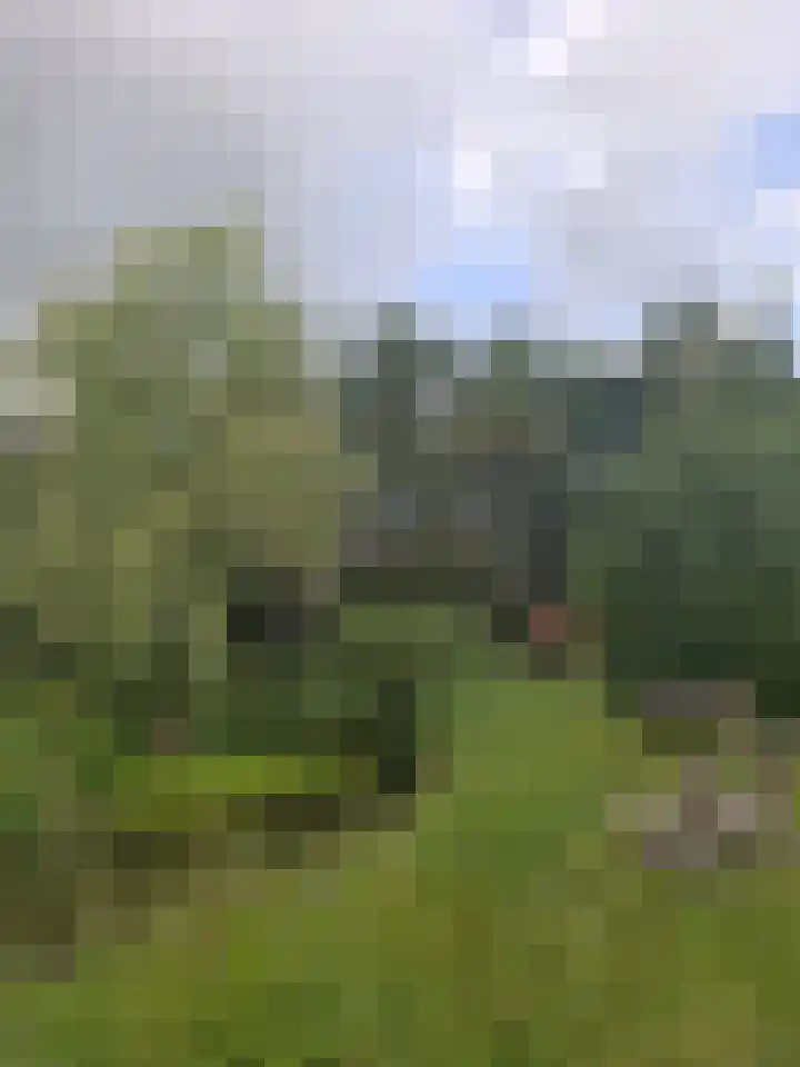 Aengwirderweg 389 Tjalleberd thumbnail 34
