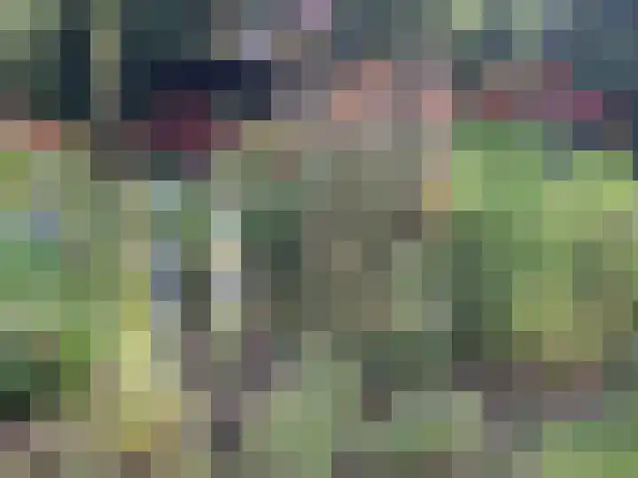 Aengwirderweg 389 Tjalleberd thumbnail 36